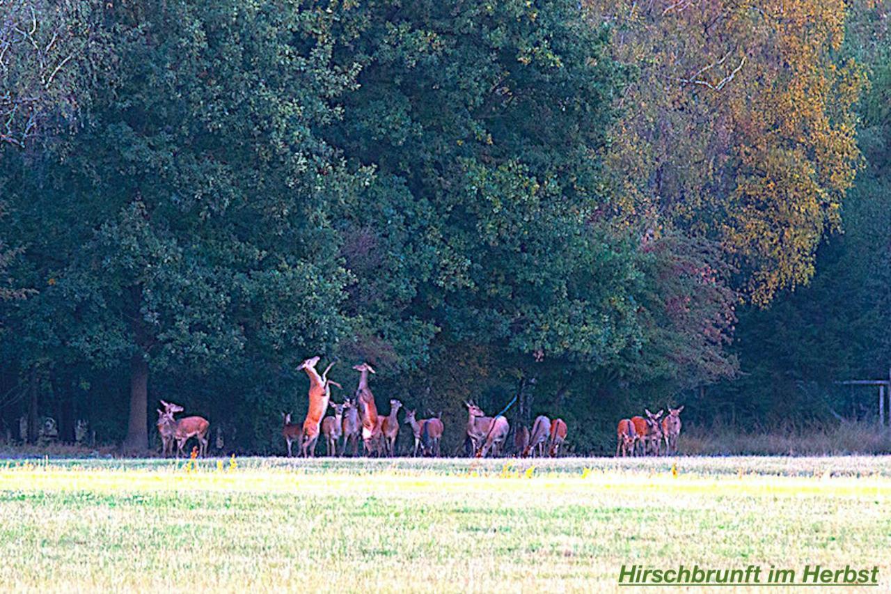 Ferienhaus Luneburger Heide Eschede Экстерьер фото